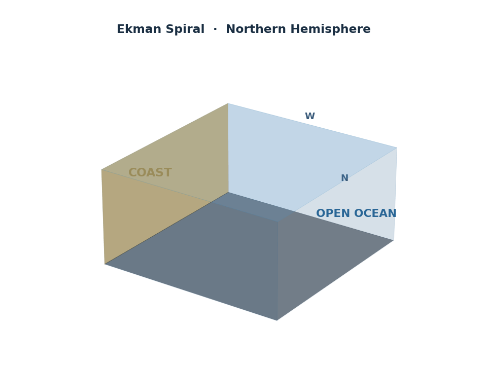 Animación del espiral de Ekman: el esfuerzo del viento en la superficie genera una espiral de corrientes deflectadas a través de la columna de agua, con un transporte neto 90° a la derecha del viento en el hemisferio norte.